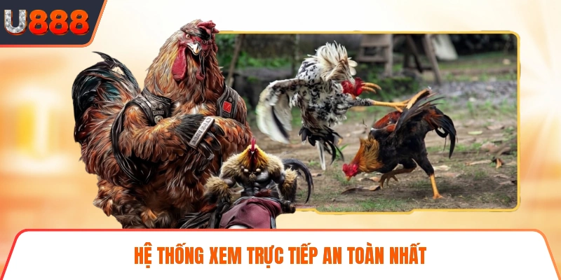 Hệ thống xem trực tiếp an toàn nhất