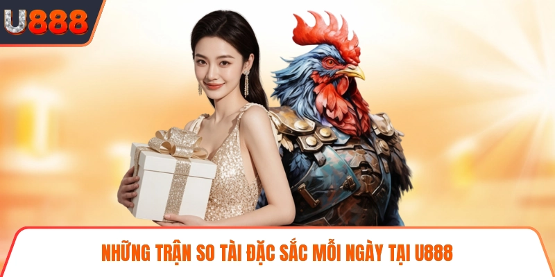 Những trận so tài đặc sắc mỗi ngày tại U888